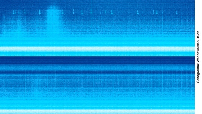 Vom Klang einer Stadt: Auf dem Weg zum Bremerhavener Stadtjubiläum