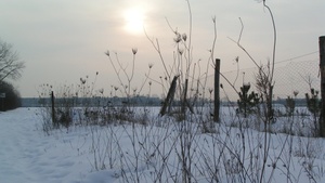 Im Winter Ruhe und Entspannung erleben - Qigong und Naturerfahrung an der Umweltstation