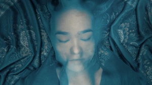 A FOX UNDER A PINK MOON