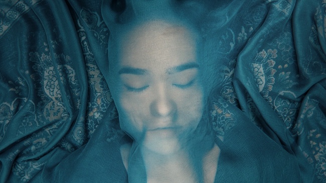 A FOX UNDER A PINK MOON