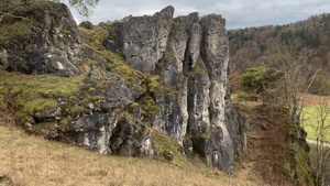 Wildkräuterwanderung mit Panoramablick