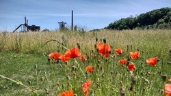 Gewerbe- und Landschaftspark Henrichshütte