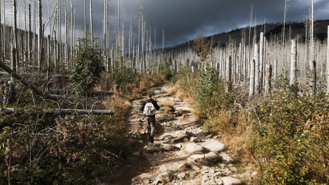 FILMGESPRÄCH: Das Gewicht der Welt