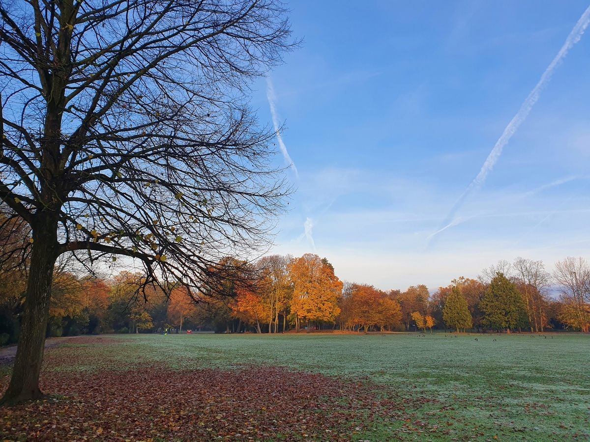 Ballonwiese im Volksgarten