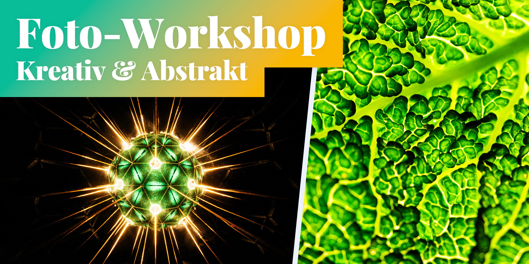 Fotokurs: Kreativ & Abstrakt fotografieren