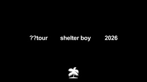 Shelter Boy