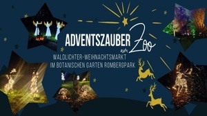 Adventszauber am Zoo - Rombergpark 2025