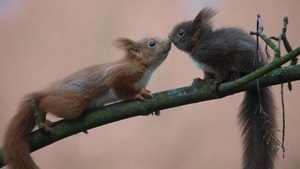 Langer Tag der StadtNatur Hamburg