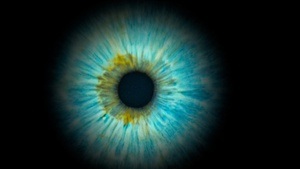 Quaerum - poetische Rauminstallation über das Suchen