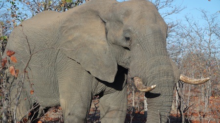 Weinerlebnis „Südafrika“ 13.12.2025