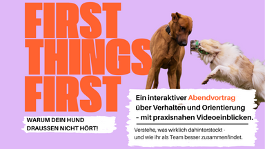 First things first - Interaktiver Abendvortrag für Hundehalter:innen