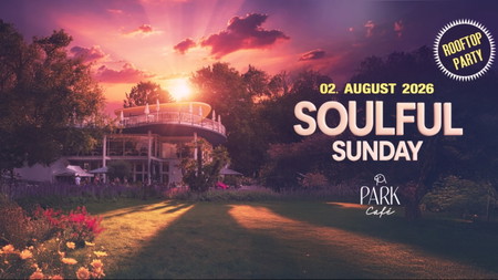 SOULFUL SUNDAY #03 🌿 Rooftop Party