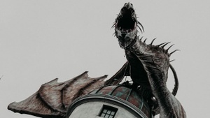 Drachenzähmen leicht gemacht