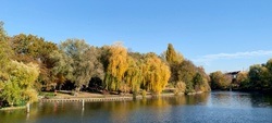 Gestrandet an der Jannowitzbrücke / Gestrandet Mitte