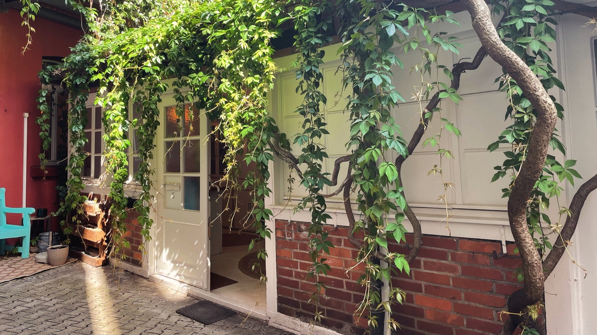 Yoga Workshop | Move Like Honey