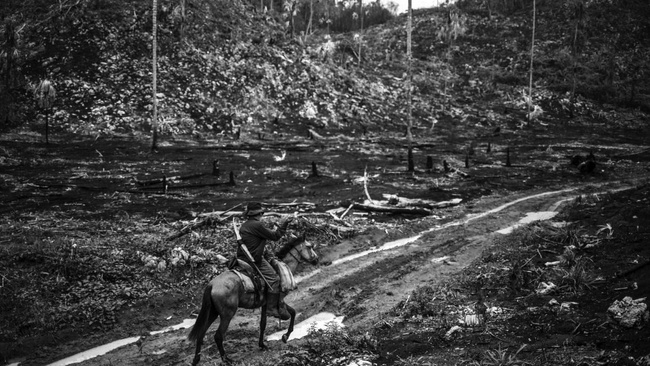 Die verlorene Grenze im Dschungel