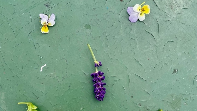 Community Dachgarten