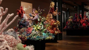 Sonderausstellung "Korallen - Farbenspiel in Kunst und Wissenschaft"