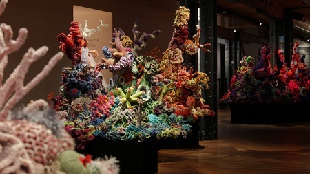 Sonderausstellung "Korallen - Farbenspiel in Kunst und Wissenschaft"