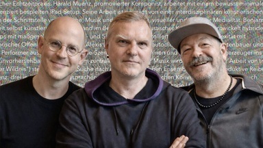 gallery:concert #22 trio in feral