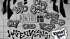 Hanseart x Freaky
