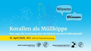 Korallen als Müllkippe – Was sagt die Forschung über die Bedrohung durch Mikroplastik?