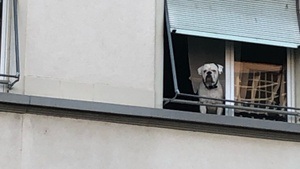 Glitzernde Dazwischen  mit Anna Lux, Paula Fürstenberg, Jonas Brückner, Tucké Royale