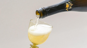 Tasting: Vegan,  Baby!