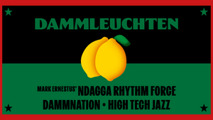 DAMMLEUCHTEN Festival