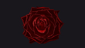 Fischer & Friends: Ich sehe alles rosenrot - Karl May, vom Kegeljungen zum Großmystiker