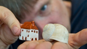 Daheim in der Welt | Thalias Kompagnons - Theater mit Puppen