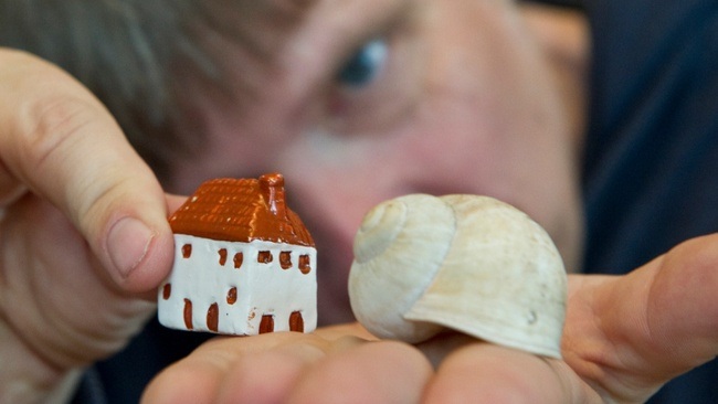 Daheim in der Welt | Thalias Kompagnons - Theater mit Puppen