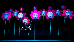 Quantum The Universe Machine – half past selber schuld