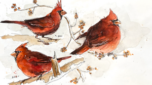 🖌 Offenes Atelier / Zeichenabend