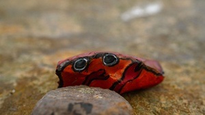 Zeugnisferien auf Juist - Winterliche Familienzeit