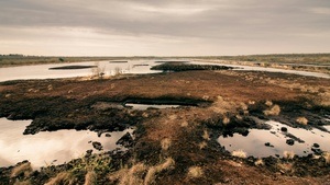 Moor-Power: Wie Moore unsere Zukunft sichern