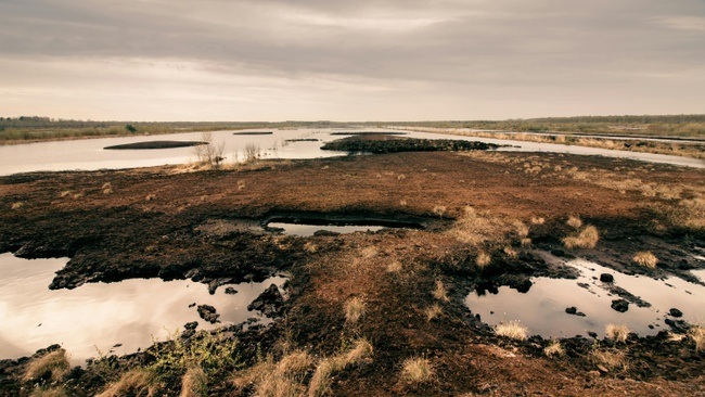 Moor-Power: Wie Moore unsere Zukunft sichern