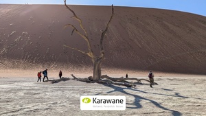 Globetrotter - Fernweh Tage: Namibia & Südafrika