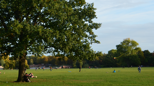 "Der Stadtpark im Klimawandel" – Spaziergang von GRÜNE HH-Nord mit BUND Hamburg