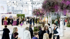 The Art of Beauty & Health 2026