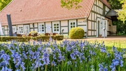 Café Sophie