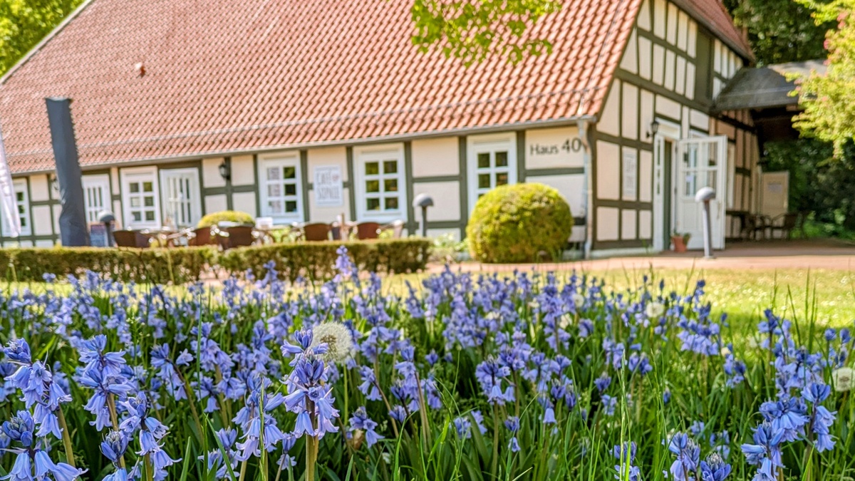 Café Sophie