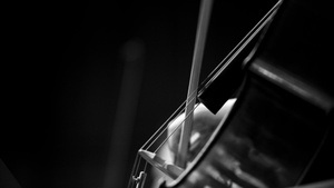 Cel­lo-En­sem­ble-Abend "Durch vier Jahr­hun­der­te"
