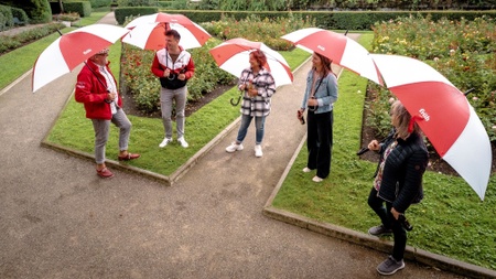 Stadtrundfahrt / Stadttour im Oldtimer Bulli durch Kölner Norden (2,5h)