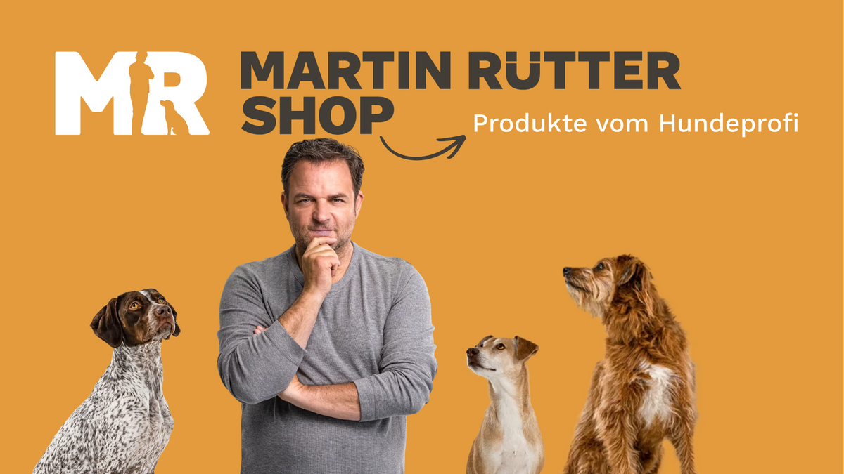 Martin Rütter SHOP \u002D Produkte vom Hundeprofi