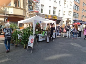 Kleider- und Pflanzentausch beim Lindenstrassenfest
