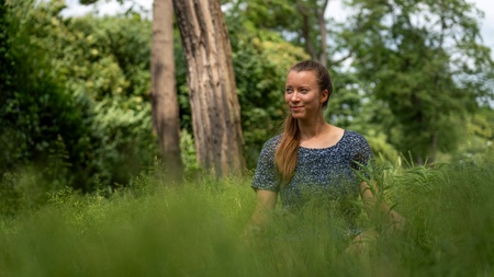 Meditation und Stille