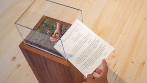 Wie begegnen, lesen und sehen wir Kunst? | Rundgang | Biennale für Freiburg 3