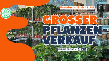 Großer Pflanzenverkauf - Frankfurt Am Main