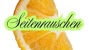 Lesefestival mit Berliner Verlagen